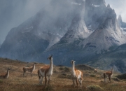 雷火电竞简介-绿茵场上的火箭升空，意甲焦点夜，杰伦·格林完成篮球证明