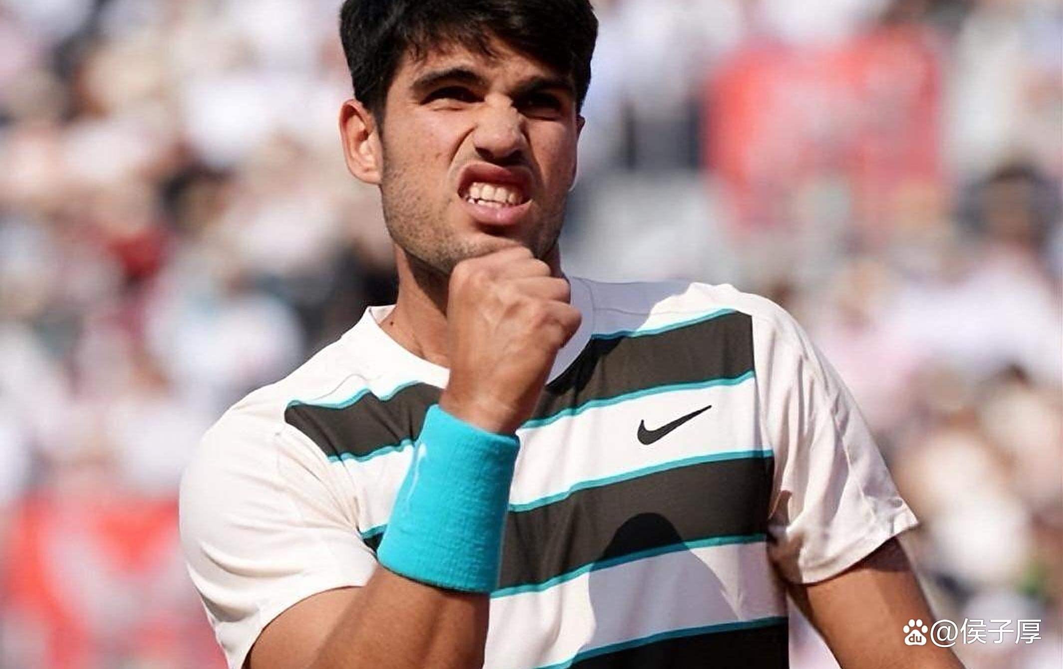 包含西班牙网球队完胜意大利网球队，费德勒制霸全场的词条