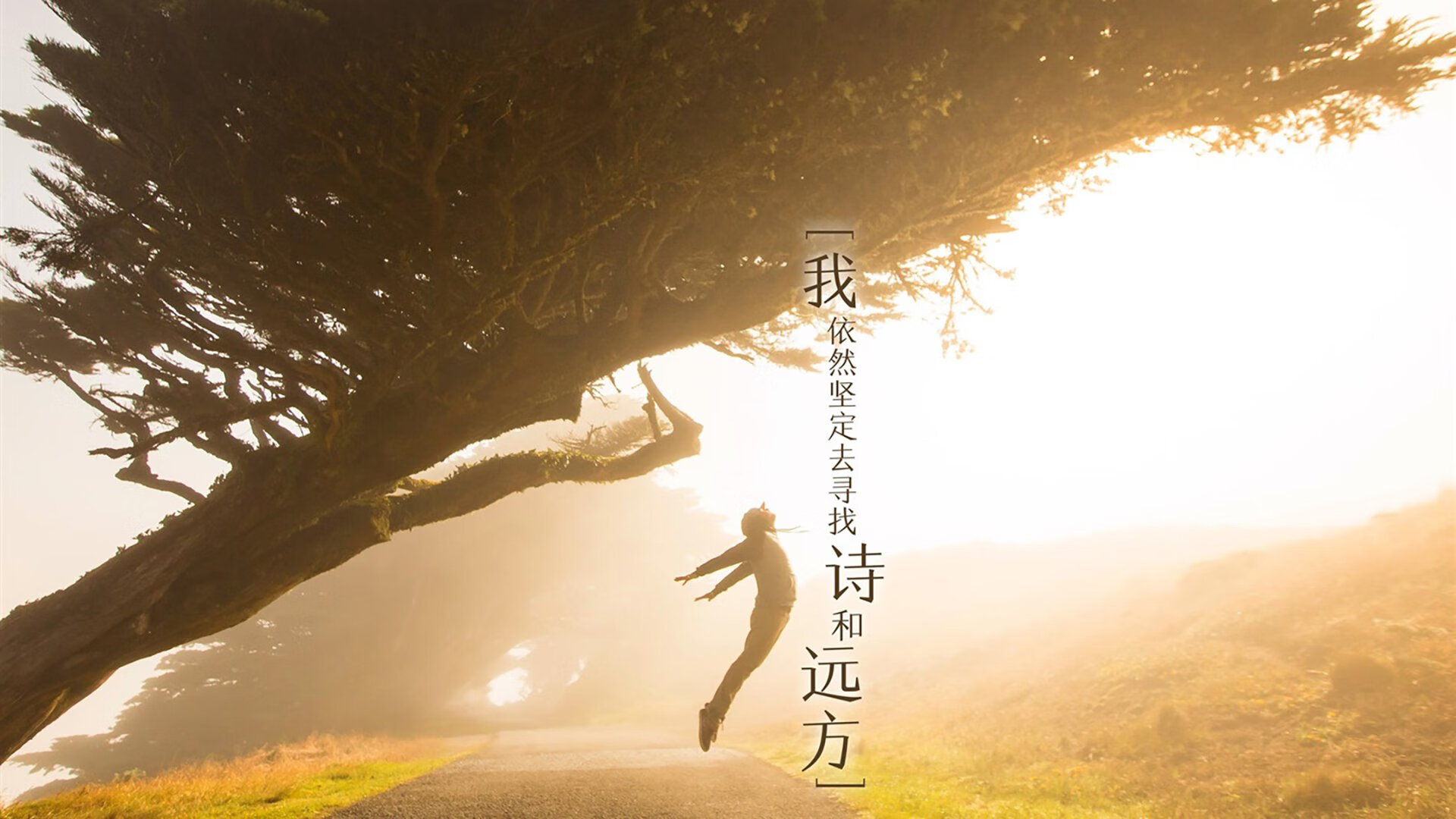 节奏之舞，苏亚雷斯如何在对阵曼联的舞台上完全掌控皇家社会的旋律