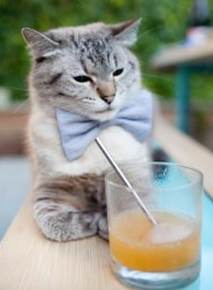 篮球双星夜,尼克斯加时力克浙江队,约基奇刷新纪录再铸传奇